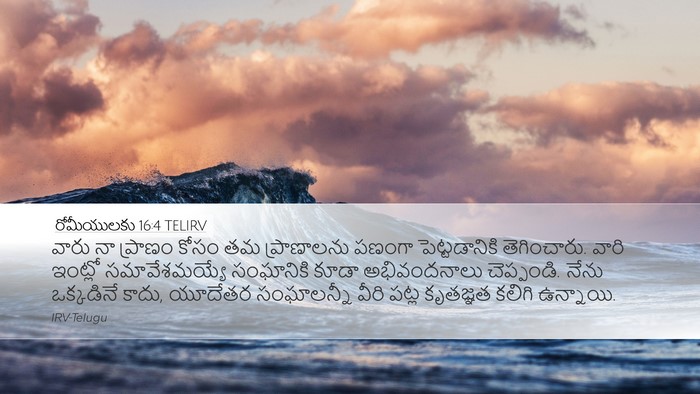 రోమీయులకు 16:4 TELIRV Bible Verse Image