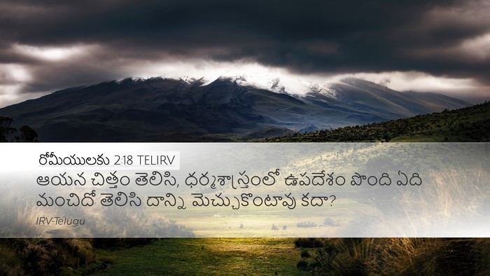 రోమీయులకు 2:18 TELIRV Bible Verse Image