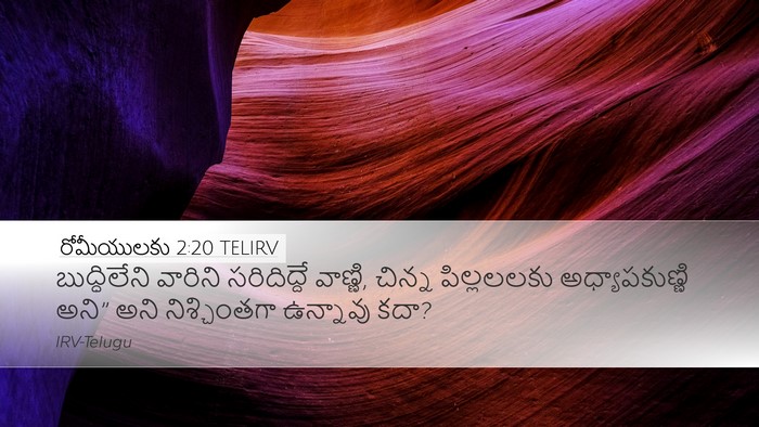 రోమీయులకు 2:20 TELIRV Bible Verse Image