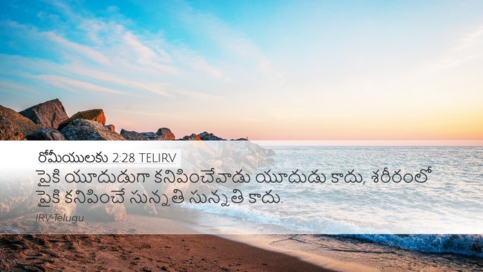 రోమీయులకు 2:28 TELIRV Bible Verse Image