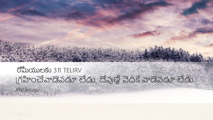 రోమీయులకు 3:11 TELIRV Bible Verse Image
