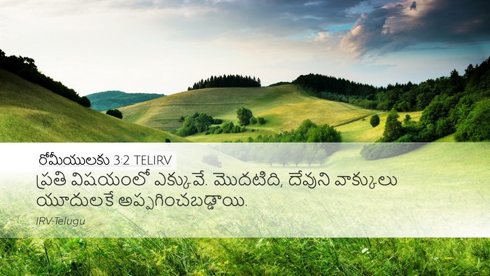 రోమీయులకు 3:2 TELIRV Bible Verse Image