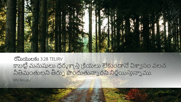 రోమీయులకు 3:28 TELIRV Bible Verse Image