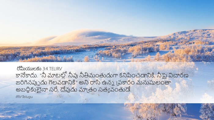 రోమీయులకు 3:4 TELIRV Bible Verse Image