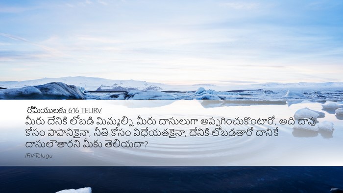 రోమీయులకు 6:16 TELIRV Bible Verse Image
