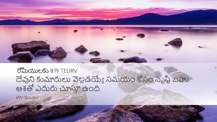 రోమీయులకు 8:19 TELIRV Bible Verse Image