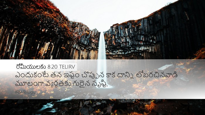 రోమీయులకు 8:20 TELIRV Bible Verse Image