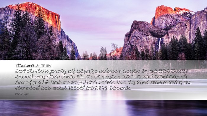 రోమీయులకు 8:4 TELIRV Bible Verse Image