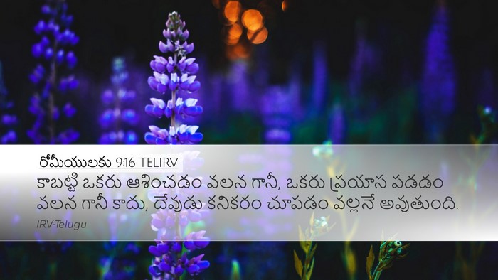 రోమీయులకు 9:16 TELIRV Bible Verse Image