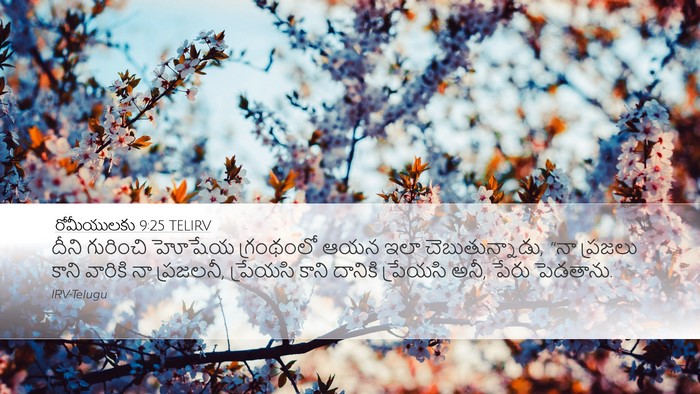 రోమీయులకు 9:25 TELIRV Bible Verse Image