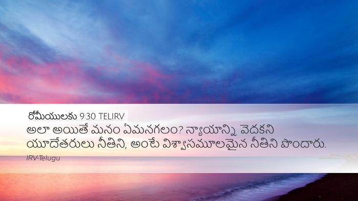 రోమీయులకు 9:30 TELIRV Bible Verse Image