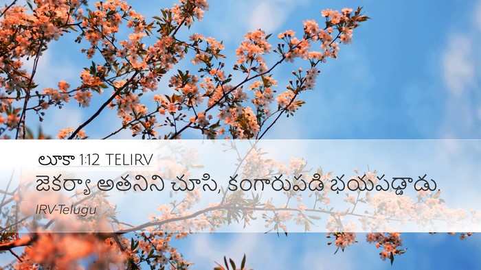 లూకా 1:12 TELIRV Bible Verse Image