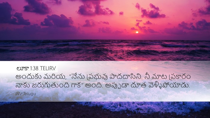 లూకా 1:38 TELIRV Desktop Wallpaper - అందుకు మరియ, “నేను - Desktop Bible Verse Wallpaper