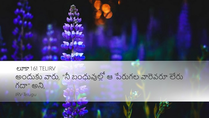 లూకా 1:61 TELIRV Desktop Wallpaper - అందుకు వారు, “నీ - Desktop Bible Verse Wallpaper
