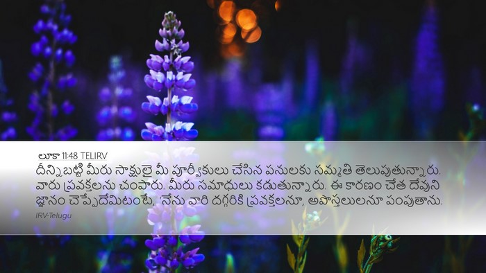 లూకా 11:48 TELIRV Desktop Wallpaper - దీన్నిబట్టి మీరు - Desktop Bible Verse Wallpaper
