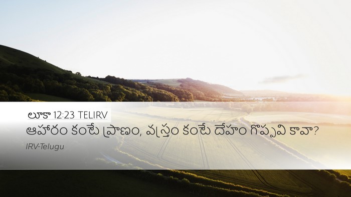 లూకా 12:23 TELIRV Desktop Wallpaper - ఆహారం కంటే ప్రాణం, - Desktop Bible Verse Wallpaper