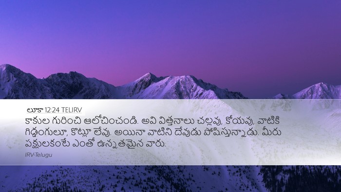 లూకా 12:24 TELIRV Bible Verse Image