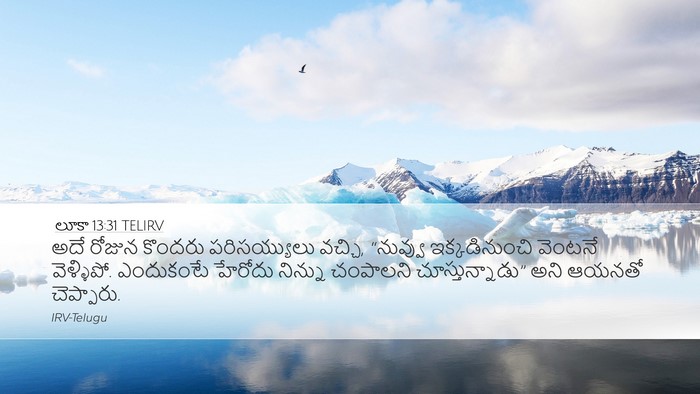 లూకా 13:31 TELIRV Bible Verse Image
