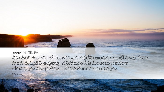 లూకా 14:14 TELIRV Bible Verse Image