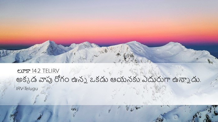 లూకా 14:2 TELIRV Desktop Wallpaper - అక్కడ వాపు రోగం - Desktop Bible Verse Wallpaper