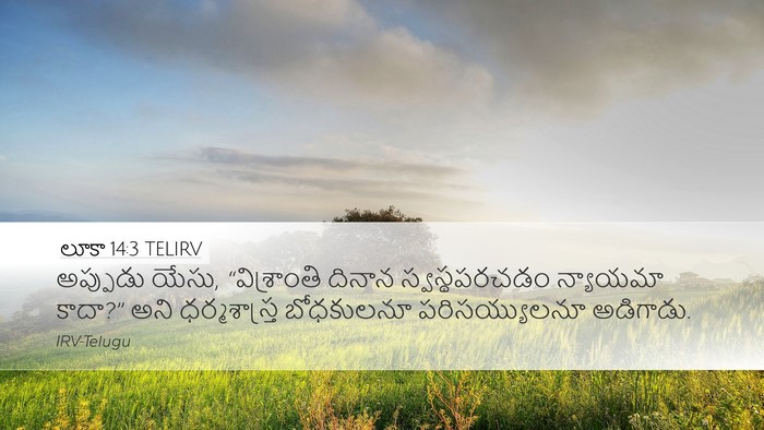 లూకా 14:3 TELIRV Bible Verse Image