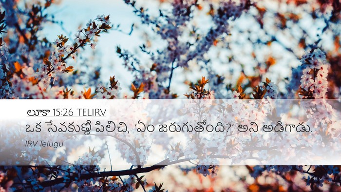 లూకా 15:26 TELIRV Desktop Wallpaper - ఒక సేవకుణ్ణి - Desktop Bible Verse Wallpaper