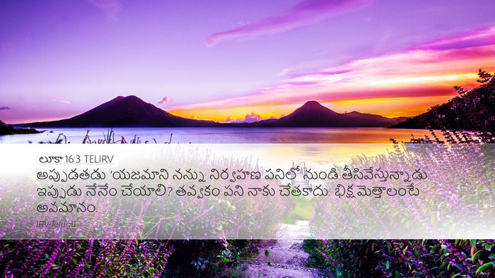 లూకా 16:3 TELIRV Bible Verse Image