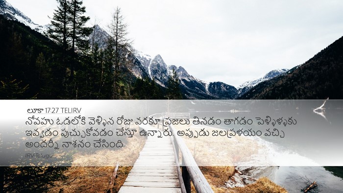 లూకా 17:27 TELIRV Bible Verse Image