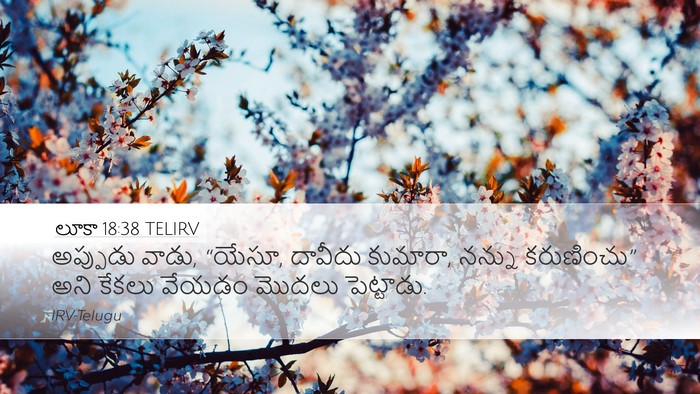 లూకా 18:38 TELIRV Bible Verse Image