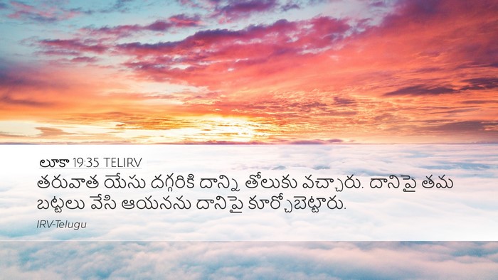 లూకా 19:35 TELIRV Bible Verse Image