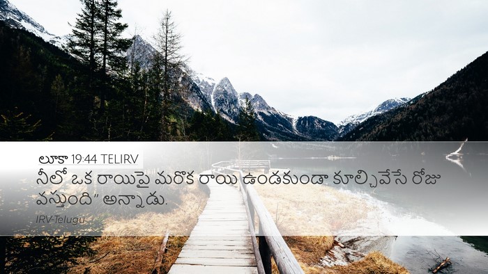 లూకా 19:44 TELIRV Bible Verse Image