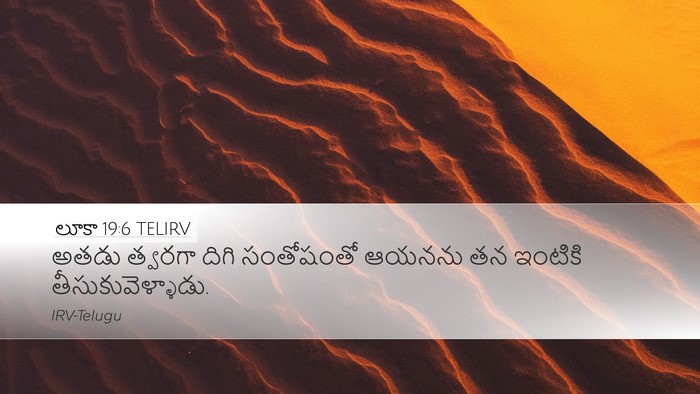 లూకా 19:6 TELIRV Bible Verse Image
