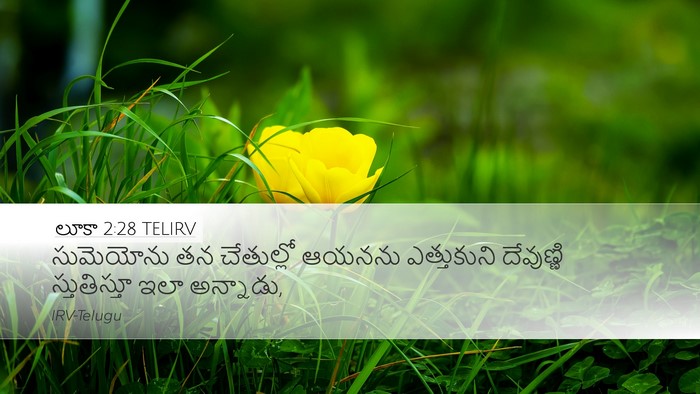 లూకా 2:28 TELIRV Bible Verse Image