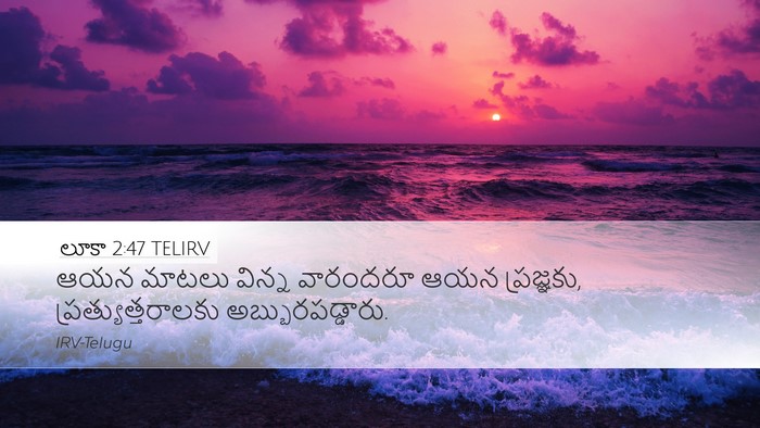 లూకా 2:47 TELIRV Bible Verse Image