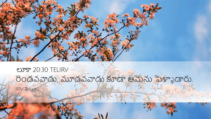 లూకా 20:30 TELIRV Desktop Wallpaper - రెండవవాడు, - Desktop Bible Verse Wallpaper