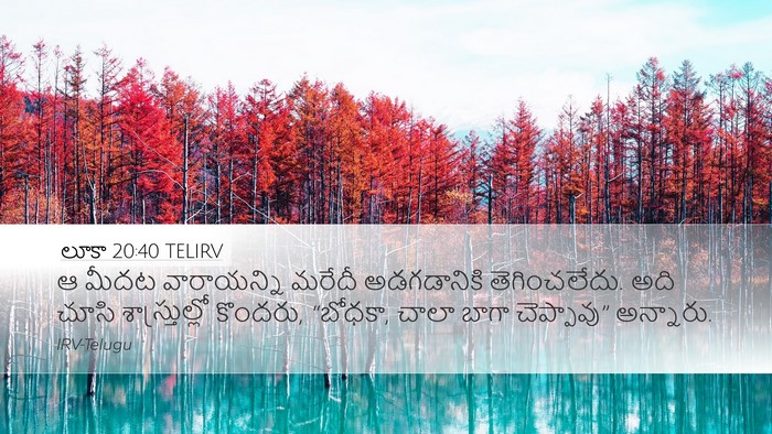 లూకా 20:40 TELIRV Bible Verse Image