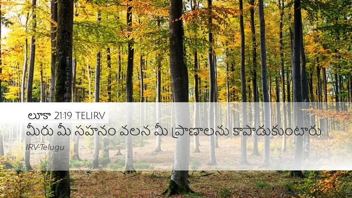 లూకా 21:19 TELIRV Bible Verse Image
