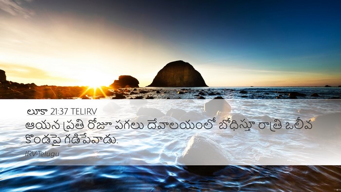 లూకా 21:37 TELIRV Bible Verse Image