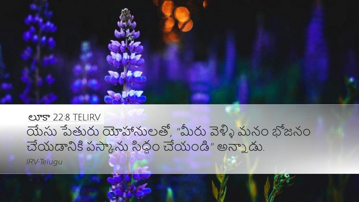 లూకా 22:8 TELIRV Desktop Wallpaper - యేసు పేతురు - Desktop Bible Verse Wallpaper