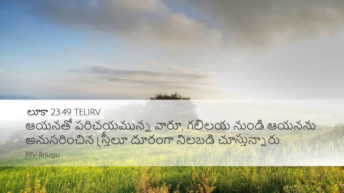 లూకా 23:49 TELIRV Bible Verse Image