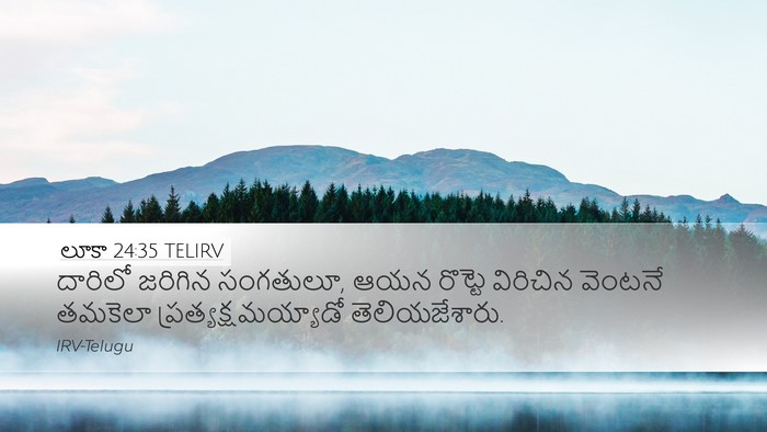 లూకా 24:35 TELIRV Bible Verse Image