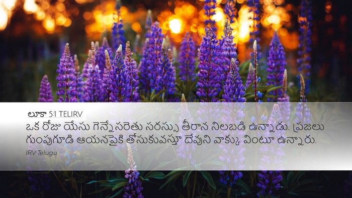 లూకా 5:1 TELIRV Bible Verse Image