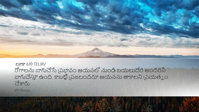 లూకా 6:19 TELIRV Bible Verse Image