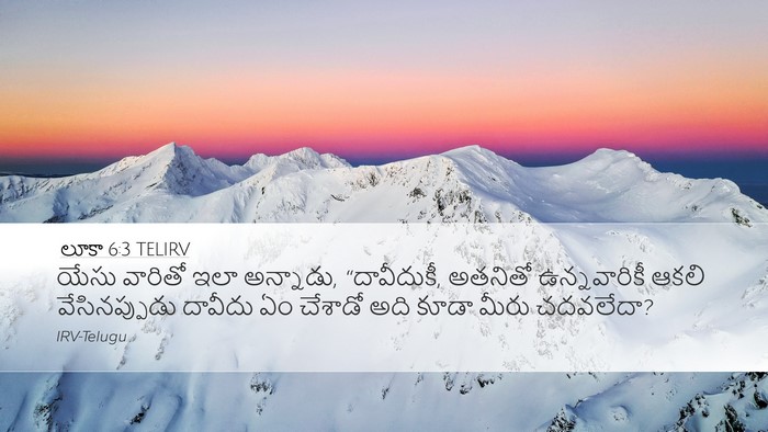 లూకా 6:3 TELIRV Bible Verse Image