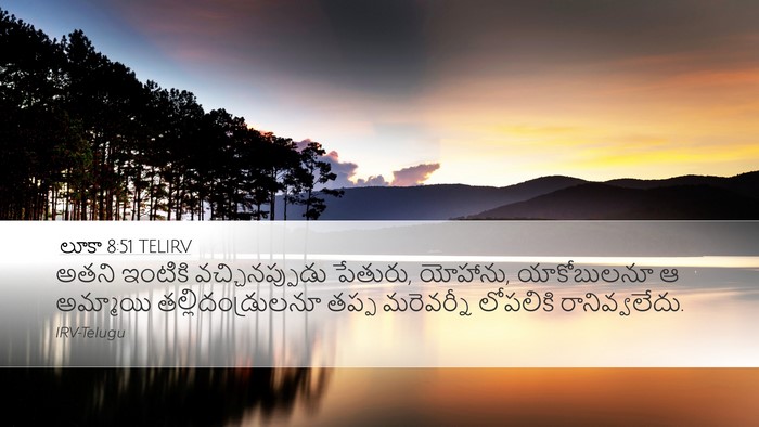 లూకా 8:51 TELIRV Desktop Wallpaper - అతని ఇంటికి - Desktop Bible Verse Wallpaper