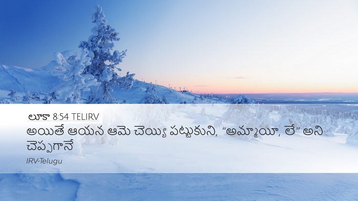 లూకా 8:54 TELIRV Bible Verse Image