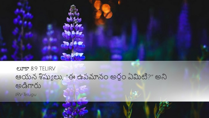 లూకా 8:9 TELIRV Desktop Wallpaper - ఆయన శిష్యులు, “ఈ - Desktop Bible Verse Wallpaper