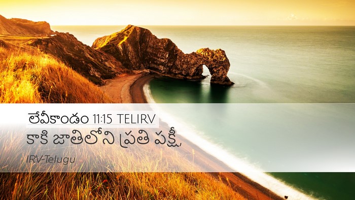లేవీకాండం 11:15 TELIRV Desktop Wallpaper - కాకి జాతిలోని - Desktop Bible Verse Wallpaper