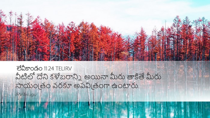 లేవీకాండం 11:24 TELIRV Bible Verse Image