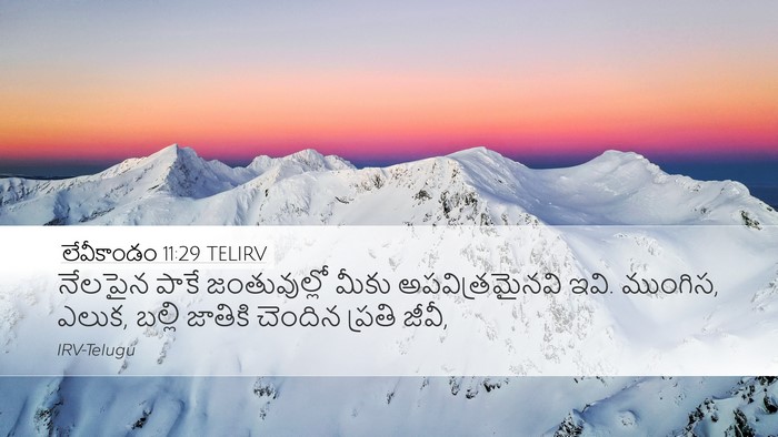 లేవీకాండం 11:29 TELIRV Bible Verse Image